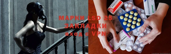 шишки Лиски
