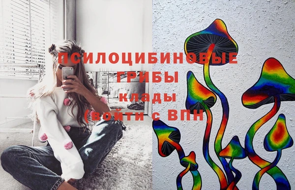 шишки Магадан