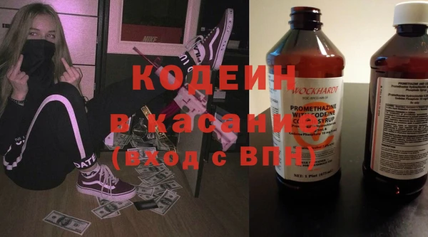 шишки Лиски