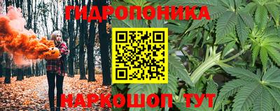 не бодяженный Гусев