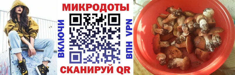 нарко площадка телеграм  Родники  Галлюциногенные грибы MAGIC MUSHROOMS 